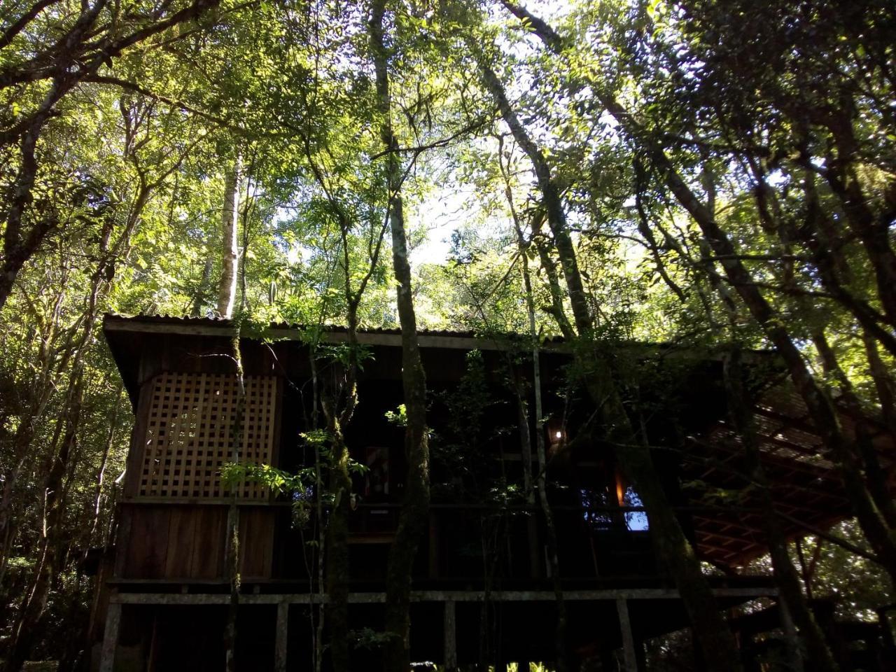 Aldea Yaboty Hosteria Saltos del Moconá Eksteriør billede